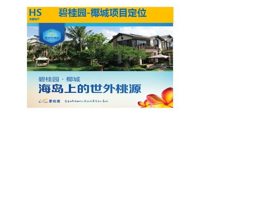 房地產(chǎn)營銷策劃 引領(lǐng)樓盤成功銷售的專業(yè)之道