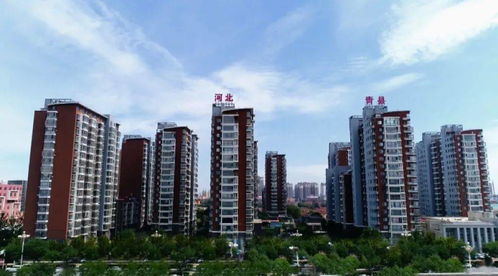 青縣樓盤市場傳遞出重磅信號(hào) 樓盤策劃代理角色升級(jí)與市場變革